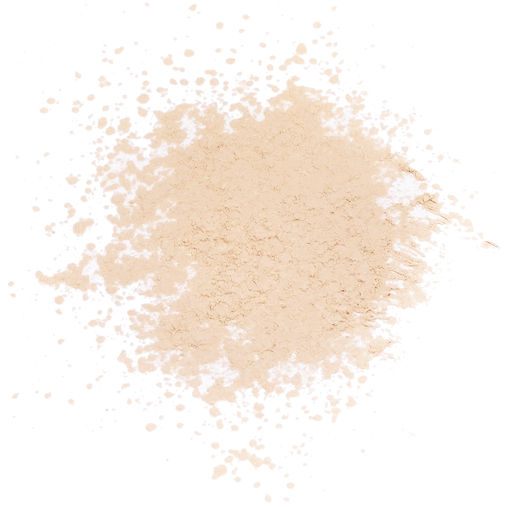 Pentas Loose Powder - Translucent